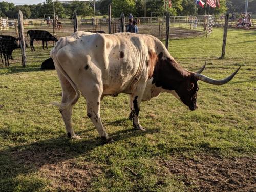 MVIMG 20190628 192415