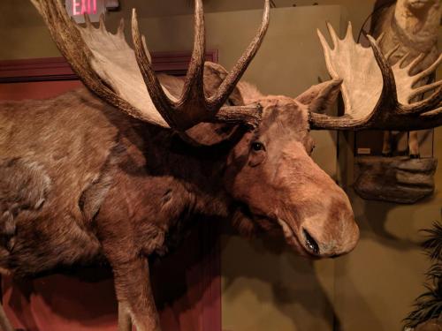 MVIMG 20190701 192822