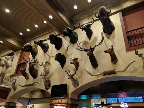 MVIMG 20190701 202723