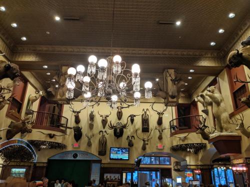 MVIMG 20190701 202725